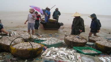   Bão số 6 đã suy yếu thành ấp thấp nhiệt đới