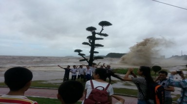     Lỗ hổng tuyên truyền?