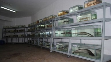 Lưu giữ những mẫu thủy sản quý có nguy cơ tuyệt chủng ở sông Đồng Nai 