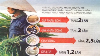   Báo động việc nông dân bỏ ruộng