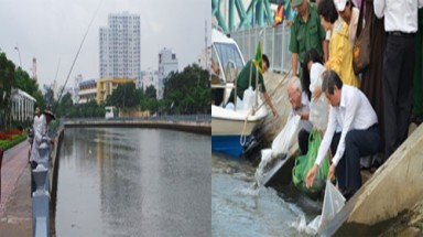    Lãnh đạo thả cá, người dân buông câu