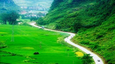  Cao Bằng: Người dân “lạnh nhạt” với trồng rừng vì không bán được gỗ 