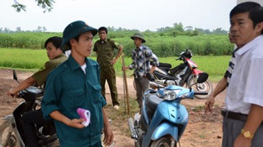 Hà Nội lập tổ công tác thấy chó là đập chết 