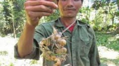 Cua trinh nữ ở Hòa Bình: Nhiều tỷ phú không mua nổi