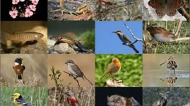  Cây “gậy thần” cho những người yêu môi trường