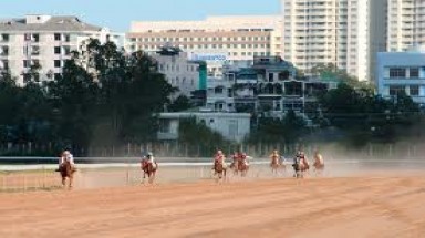     Đề nghị cho phép cá cược từ 10.000 đồng đến 1 triệu đồng