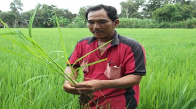 Tâm thư gửi Bộ trưởng Bộ NN&PTNT Cao Đức Phát: "Hãy chỉ cho dân trồng cây gì, giống gì..."