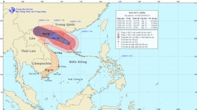  Tin bão khẩn cấp - cơn bão số 5