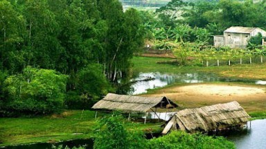  Để những ngôi làng Việt Nam có màu xanh vĩnh hằng 