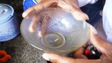   Phản hồi về thông tin “sinh vật lạ” trong mì tôm 3 Miền