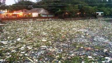  Kiên Giang: Rác tấn công biển Rạch Giá