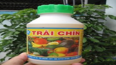  "Sốc" với thuốc ép chín trái cây tung hoành thị trường