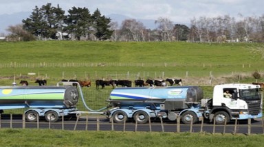    "Cú sốc" mới của Tập đoàn sữa Fonterra
