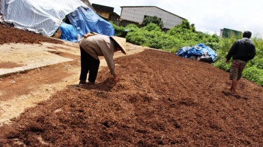  Phù phép trà bẩn thành trà sạch: Đường đi của trà bẩn