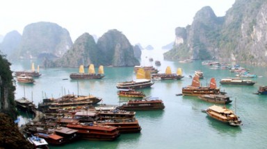  Xử lý 6.900 lít dầu độc hại gần Vịnh Hạ Long: Vẫn chờ các Bộ, ngành Trung ương 