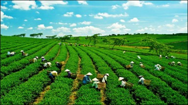 Tăng trưởng xanh là gì?