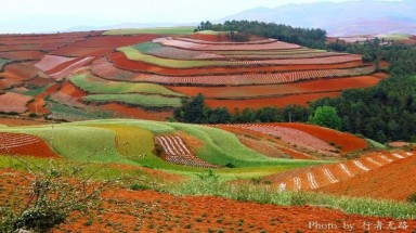  Vẻ đẹp lộng lẫy của miền đất đỏ Đông Xuyên 
