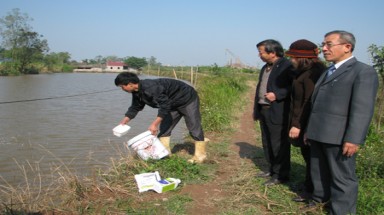 Lợi nhuận tăng cao từ chế phẩm sinh học xử lý môi trường nuôi trồng thủy sản