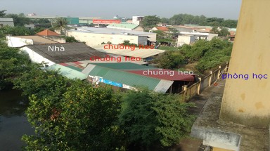  Bình Chánh: Học sinh phải học cùng mùi phân heo
