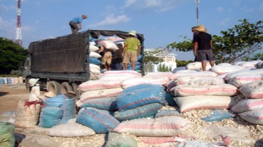     Tây Ninh: Phạt doanh nghiệp tư nhân lò mì Tư Bông 300 triệu đồng do gây sự cố môi trường