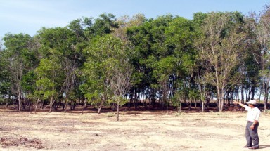  Ninh Thuận: Hiến đất xây dựng công trình phòng chống thiên tai vùng "rốn lũ" 