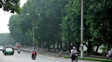  Người Hà Nội bàng hoàng tiếc nuối ”lá phổi xanh” sắp biến mất