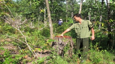  Rừng khu du lịch sinh thái tan hoang như vô chủ
