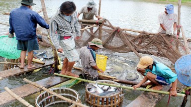  Mối đe dọa từ đập thủy điện Don Sahong 