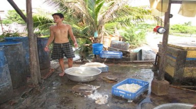 Phát hiện ớn lạnh về ”đặc sản” bình dân 