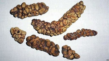  Kinh Ngạc những món ăn từ chất thải