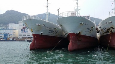   Không có cửa cho nhập tàu quá cũ