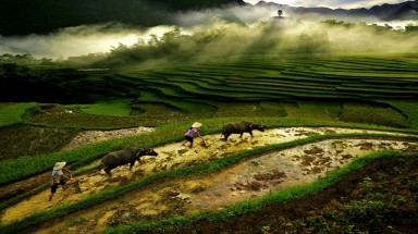  Thời tiết ngày 13 tháng 8: Bắc Bộ ngày oi nóng và mưa rải rác, chiều tối nguy cơ có gió giật mạnh