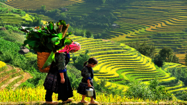  Thời tiết ngày 9 tháng 8: Nắng nóng xuất hiện tại miền Bắc, Nam Biển Đông có gió giật cấp 7-8 
