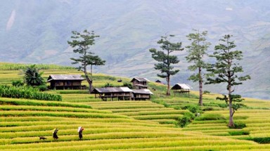   Thời tiết ngày 24 tháng 8: Nắng nóng tại Bắc và Trung Trung bộ còn tiếp diễn
