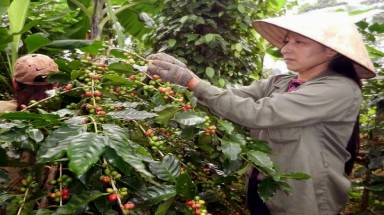  Đắk Lắk: Dân phản đối kết luận thanh tra của Bộ NN -PTNT