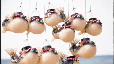  Người Nhật chuộng ăn cá nóc chết người, vì sao?
