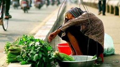  Chuyện thời sự: Pháp luật và tội bất hiếu