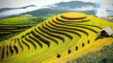  Thời tiết ngày 15 tháng 8: Trung bộ nắng nóng diện rộng, có nơi trên 38 độ C