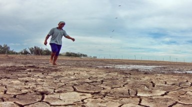  Dịch vụ dự báo khí tượng, thủy văn nên là ngành nghề kinh doanh có điều kiện