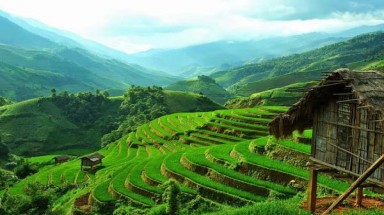  Thời tiết ngày 4 tháng 8: Khu vực Đông Bắc Bộ mưa giảm nhanh về diện và lượng