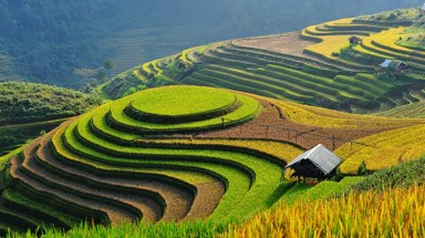  Thời tiết ngày 5 tháng 8: Vùng núi phía Bắc vẫn có nguy cơ xảy ra sụt lún đất