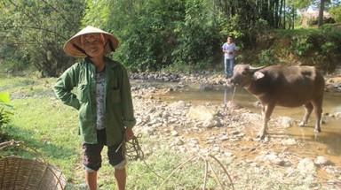 Vụ xây cầu phục vụ chủ tịch xã ở Hà Tĩnh: Báo cáo láo thế !