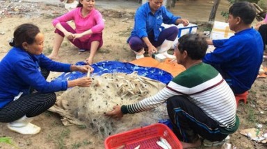  Bộ Y tế lý giải vì sao không khẳng định cá ăn được chưa