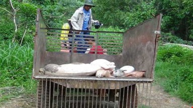  Đề nghị xử phạt Công ty TNHH nông sản Việt Phước gây ô nhiễm môi trường sông Sài Gòn