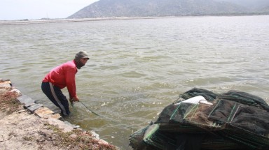  “Việt Nam không nên làm sắt thép nữa”