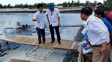  Tôm chết hàng loạt không phải do thay nước biển?