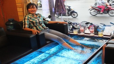 Uống cà phê... cá cắn ở Sài Gòn 