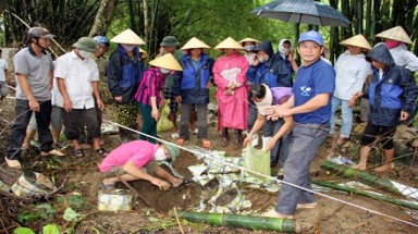   “Thủ đoạn chôn thuốc trừ sâu tàn ác chưa từng có!”