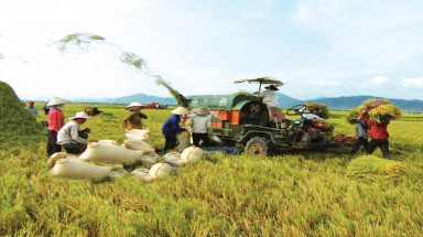  Thi ảnh nhân Ngày Lương thực thế giới 2013