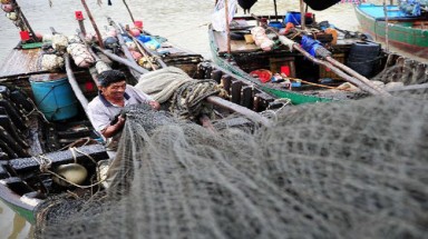  Đông Á chuẩn bị đón siêu bão Usagi